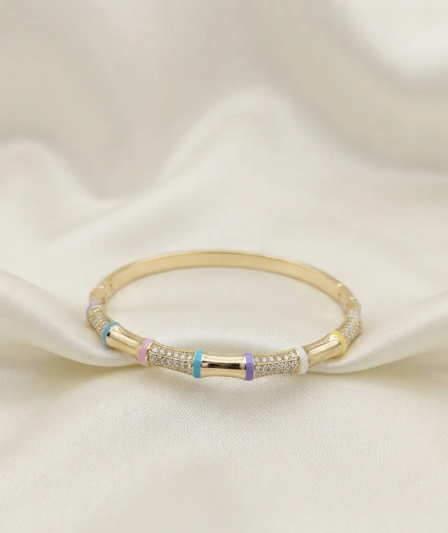 Multi-colored Accents Bamboo Bangle